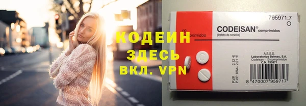 молекула духа Киреевск