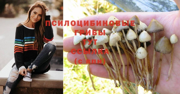 амфетамин Карпинск