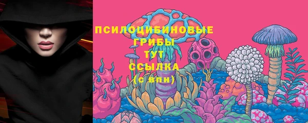 молекула духа Киреевск