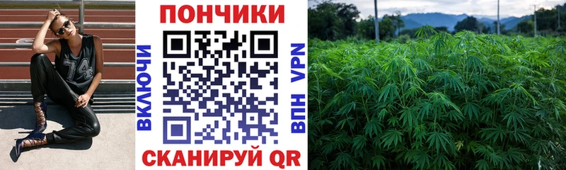 Конопля сатива  хочу   Мамадыш 